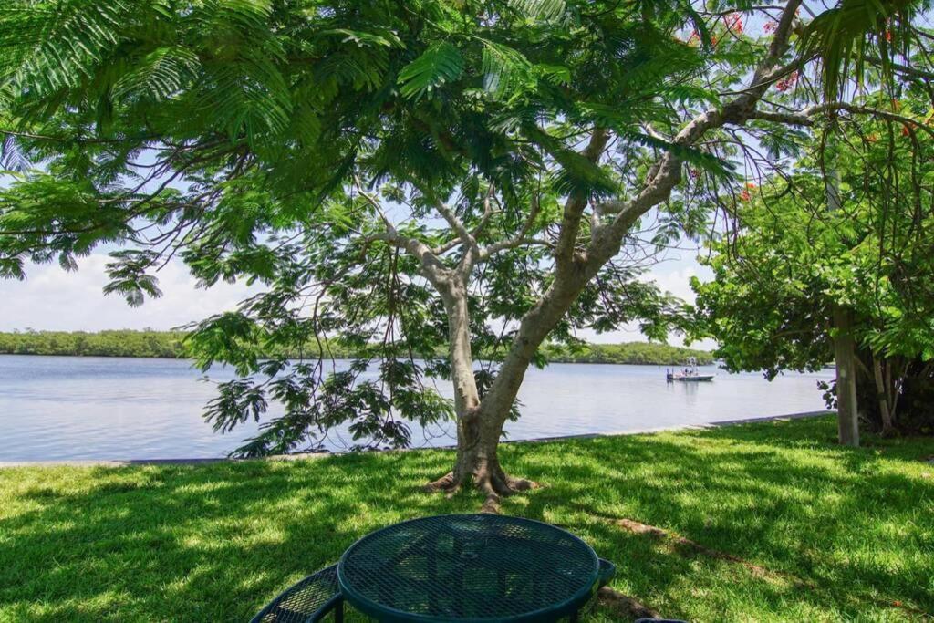 Riverview, Studio 507, Beach Steps Away!+Pool+Wifi Ruskin Bagian luar foto